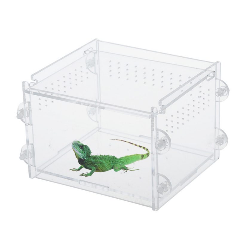 Acrylic Reptiles Terrarium Container Amphibians Larvae Spiders Ants ...